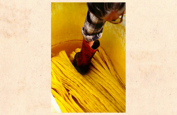 Colorazione treccia